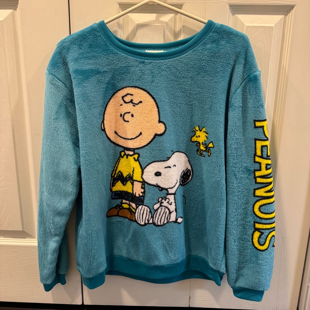 Sold! NWT, NEVER WORN! Plush Charlie Brown Blue Graphic Sweatshirt - Picture 1 of 3